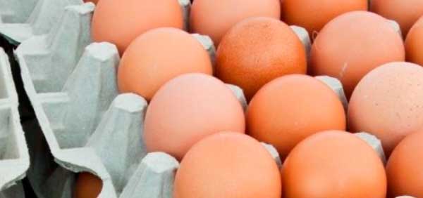 Como comprar ovos do CEASA