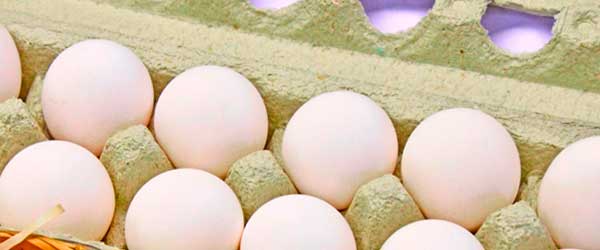 Fornecedores de ovos para revender: como encontrar, dicas e informações